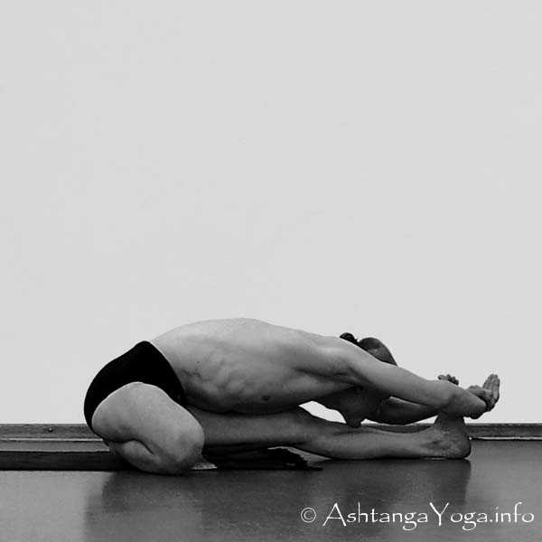 Janu Sirsasana B - Primary Series (=Yoga Chikitsa / erste Serie) wird oft als die schwerste aller Ashtanga Vinyasa Yoga Serien bezeichnet, denn sie ist die Serie, die Du zuerst lernst - und aller Anfang ist schwer.