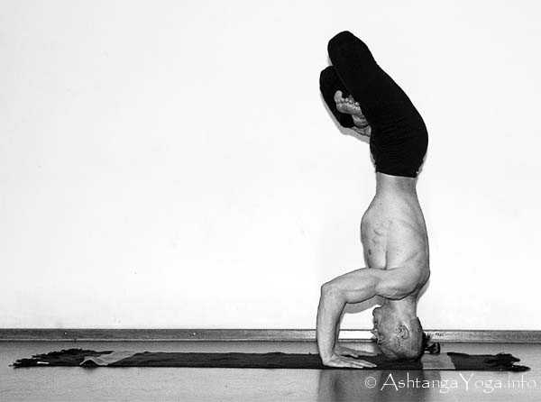Urdhva Kukkutasana A Vinyasa in - In der Advanced A Series (Sthira Bhaga) setzt das Ashtanga Vinyasa Yoga die Gesetze der Schwerkraft auserkraft.