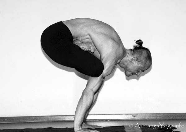 Urdhva Kukkutasana B - In der Advanced A Series (Sthira Bhaga) setzt das Ashtanga Vinyasa Yoga die Gesetze der Schwerkraft auserkraft.