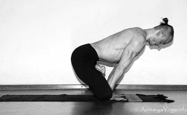 Urdhva Kukkutasana C Vinyasa in - In der Advanced A Series (Sthira Bhaga) setzt das Ashtanga Vinyasa Yoga die Gesetze der Schwerkraft auserkraft.