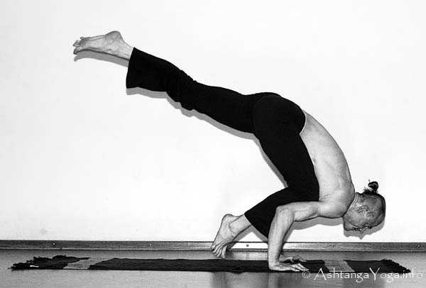 Eka Pada Bakasana A - In der Advanced A Series (Sthira Bhaga) setzt das Ashtanga Vinyasa Yoga die Gesetze der Schwerkraft auserkraft.