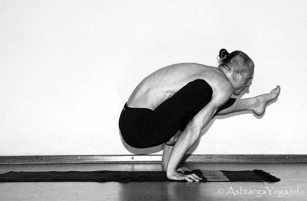 Eka Pada Bakasana B - In der Advanced A Series (Sthira Bhaga) setzt das Ashtanga Vinyasa Yoga die Gesetze der Schwerkraft auserkraft.