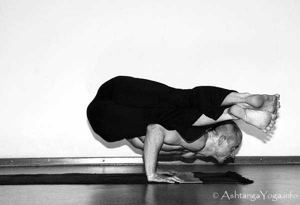 Koundinyasana A - In der Advanced A Series (Sthira Bhaga) setzt das Ashtanga Vinyasa Yoga die Gesetze der Schwerkraft auserkraft.