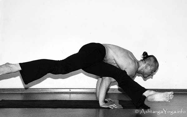 Koundinyasana B - In der Advanced A Series (Sthira Bhaga) setzt das Ashtanga Vinyasa Yoga die Gesetze der Schwerkraft auserkraft.