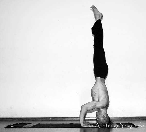 Astavakrasana A Vinyasa in - In der Advanced A Series (Sthira Bhaga) setzt das Ashtanga Vinyasa Yoga die Gesetze der Schwerkraft auserkraft.