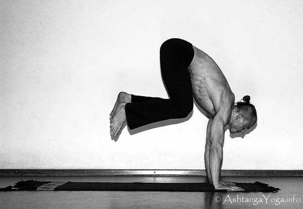 Astavakrasana B Vinyasa in - In der Advanced A Series (Sthira Bhaga) setzt das Ashtanga Vinyasa Yoga die Gesetze der Schwerkraft auserkraft.