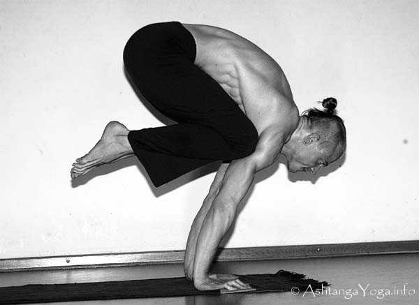 Bakasana - In der Advanced A Series (Sthira Bhaga) setzt das Ashtanga Vinyasa Yoga die Gesetze der Schwerkraft auserkraft.