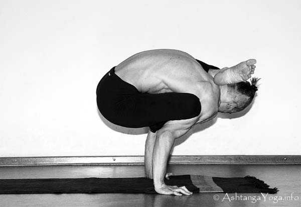 Viranchyasana A Vinyasa out - In der Advanced A Series (Sthira Bhaga) setzt das Ashtanga Vinyasa Yoga die Gesetze der Schwerkraft auserkraft.