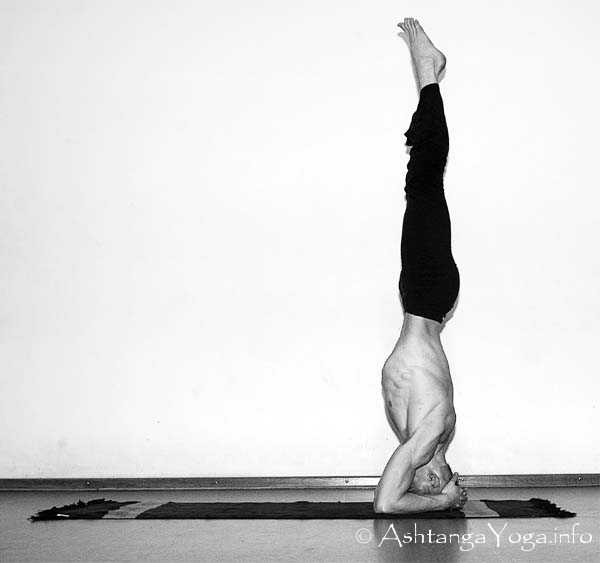 Viparita Dandasana Vinyasa in - In der Advanced A Series (Sthira Bhaga) setzt das Ashtanga Vinyasa Yoga die Gesetze der Schwerkraft auserkraft.