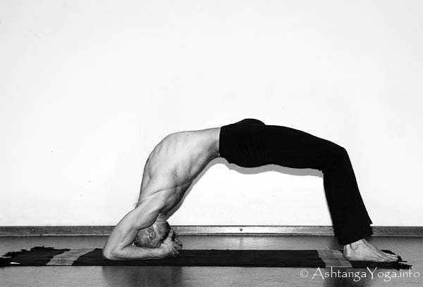 Viparita Dandasana - In der Advanced A Series (Sthira Bhaga) setzt das Ashtanga Vinyasa Yoga die Gesetze der Schwerkraft auserkraft.