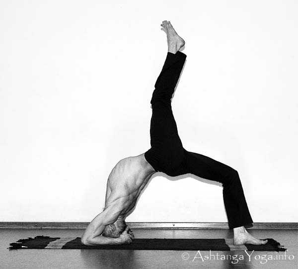 Eka Pada Viparita Dandasana - In der Advanced A Series (Sthira Bhaga) setzt das Ashtanga Vinyasa Yoga die Gesetze der Schwerkraft auserkraft.