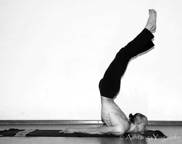 Viparita Salabhasana - In der Advanced A Series (Sthira Bhaga) setzt das Ashtanga Vinyasa Yoga die Gesetze der Schwerkraft auserkraft.