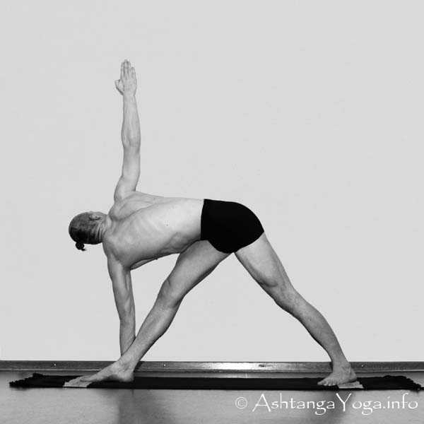Parivritta Trikonasana - Sechs einfache Asans (= Fundamental Asanas) bilden das Fundament der Ashtanga Vinyasa Yoga Praxis. 