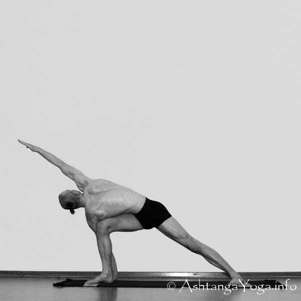 Parivritta Parsvakonasana - Sechs einfache Asans (= Fundamental Asanas) bilden das Fundament der Ashtanga Vinyasa Yoga Praxis. 