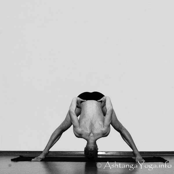 Prasarita Padottanasana B - Sechs einfache Asans (= Fundamental Asanas) bilden das Fundament der Ashtanga Vinyasa Yoga Praxis. 