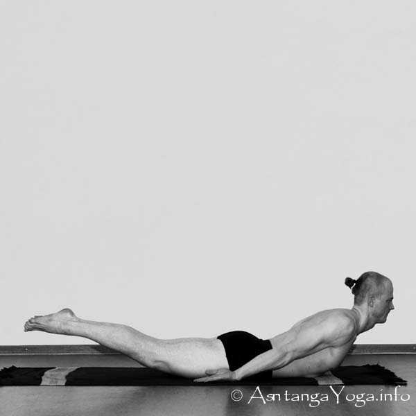 Salabhasana A - Die Intermediate Series (Nadi Shodana / zweite Serie) bringt die Ashtanga Vinyasa Yoga Praxis von einer physischen auf eine energetische Ebene.