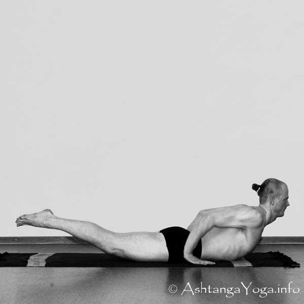 Salabhasana B - Die Intermediate Series (Nadi Shodana / zweite Serie) bringt die Ashtanga Vinyasa Yoga Praxis von einer physischen auf eine energetische Ebene.