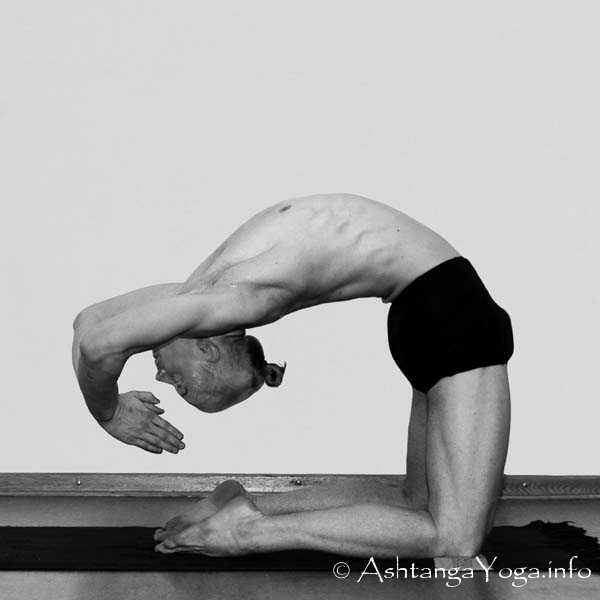 Kapotasana Vinyasa in - Die Intermediate Series (Nadi Shodana / zweite Serie) bringt die Ashtanga Vinyasa Yoga Praxis von einer physischen auf eine energetische Ebene.