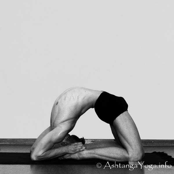 Kapotasana A - Die Intermediate Series (Nadi Shodana / zweite Serie) bringt die Ashtanga Vinyasa Yoga Praxis von einer physischen auf eine energetische Ebene.