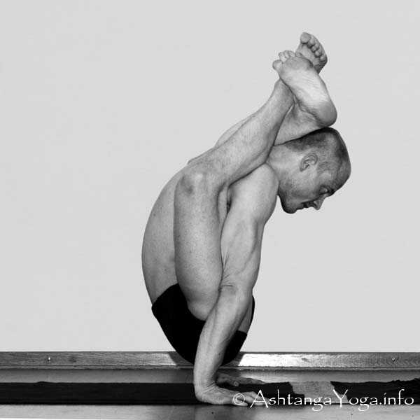 Dwi Pada Sirsasana Vinyasa out - Die Intermediate Series (Nadi Shodana / zweite Serie) bringt die Ashtanga Vinyasa Yoga Praxis von einer physischen auf eine energetische Ebene.