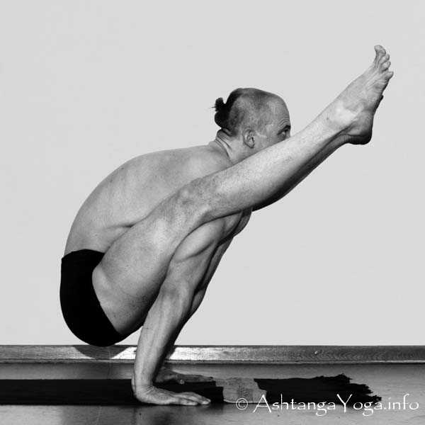 Tittibhasana A - Die Intermediate Series (Nadi Shodana / zweite Serie) bringt die Ashtanga Vinyasa Yoga Praxis von einer physischen auf eine energetische Ebene.