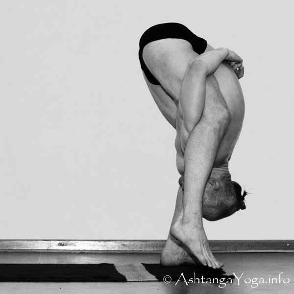 Tittibhasana B 5 steps forward - Die Intermediate Series (Nadi Shodana / zweite Serie) bringt die Ashtanga Vinyasa Yoga Praxis von einer physischen auf eine energetische Ebene.