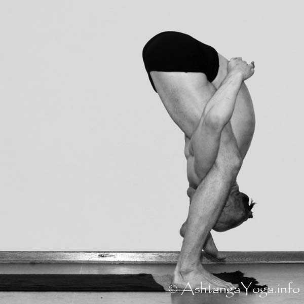 Tittibhasana B 5 steps backward - Die Intermediate Series (Nadi Shodana / zweite Serie) bringt die Ashtanga Vinyasa Yoga Praxis von einer physischen auf eine energetische Ebene.
