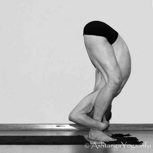 Tittibhasana C - Die Intermediate Series (Nadi Shodana / zweite Serie) bringt die Ashtanga Vinyasa Yoga Praxis von einer physischen auf eine energetische Ebene.