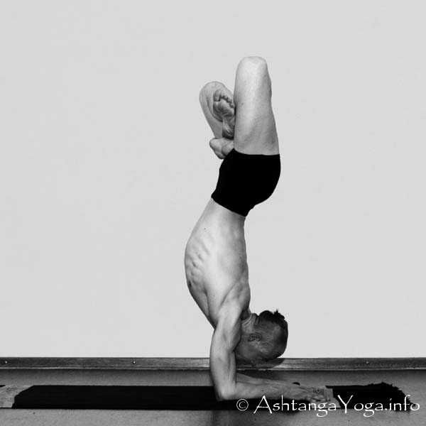 Karandavasana Vinyasa in - Die Intermediate Series (Nadi Shodana / zweite Serie) bringt die Ashtanga Vinyasa Yoga Praxis von einer physischen auf eine energetische Ebene.