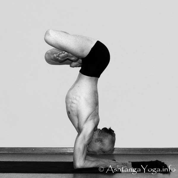Karandavasana Vinyasa out - Die Intermediate Series (Nadi Shodana / zweite Serie) bringt die Ashtanga Vinyasa Yoga Praxis von einer physischen auf eine energetische Ebene.