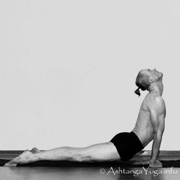 Mayurasana Vinyasa out - Die Intermediate Series (Nadi Shodana / zweite Serie) bringt die Ashtanga Vinyasa Yoga Praxis von einer physischen auf eine energetische Ebene.
