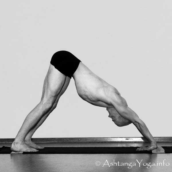 Mayurasana Vinyasa out - Die Intermediate Series (Nadi Shodana / zweite Serie) bringt die Ashtanga Vinyasa Yoga Praxis von einer physischen auf eine energetische Ebene.