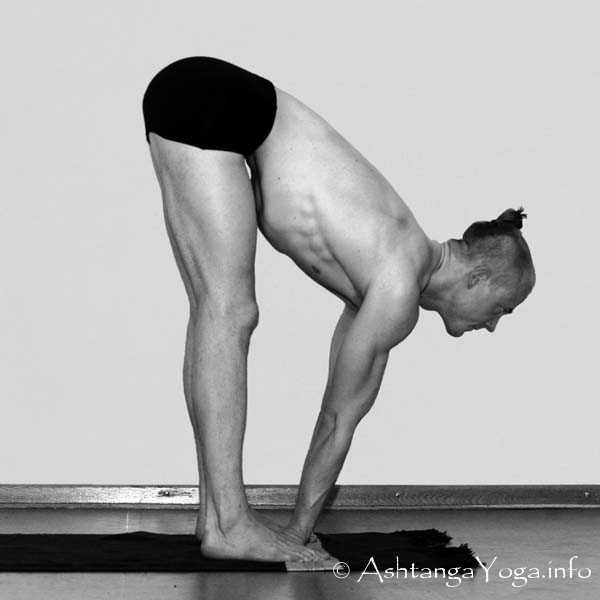 Mayurasana Vinyasa out - Die Intermediate Series (Nadi Shodana / zweite Serie) bringt die Ashtanga Vinyasa Yoga Praxis von einer physischen auf eine energetische Ebene.