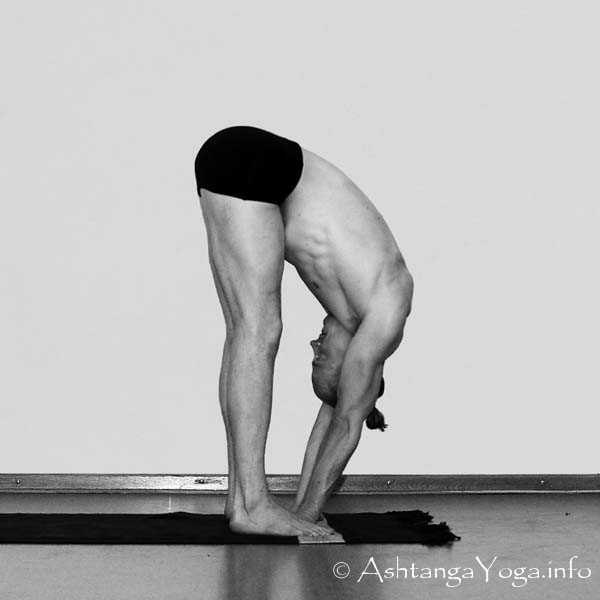 Mayurasana Vinyasa out - Die Intermediate Series (Nadi Shodana / zweite Serie) bringt die Ashtanga Vinyasa Yoga Praxis von einer physischen auf eine energetische Ebene.