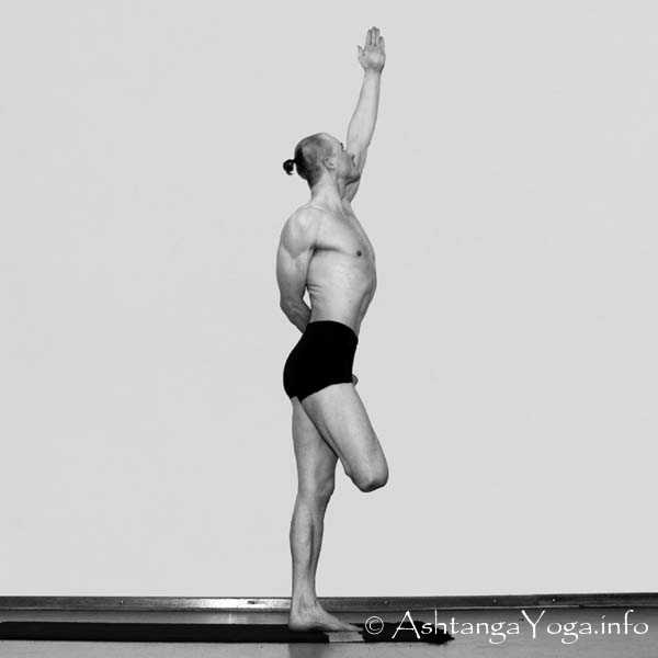 Vatayanasana Vinyasa in - Die Intermediate Series (Nadi Shodana / zweite Serie) bringt die Ashtanga Vinyasa Yoga Praxis von einer physischen auf eine energetische Ebene.