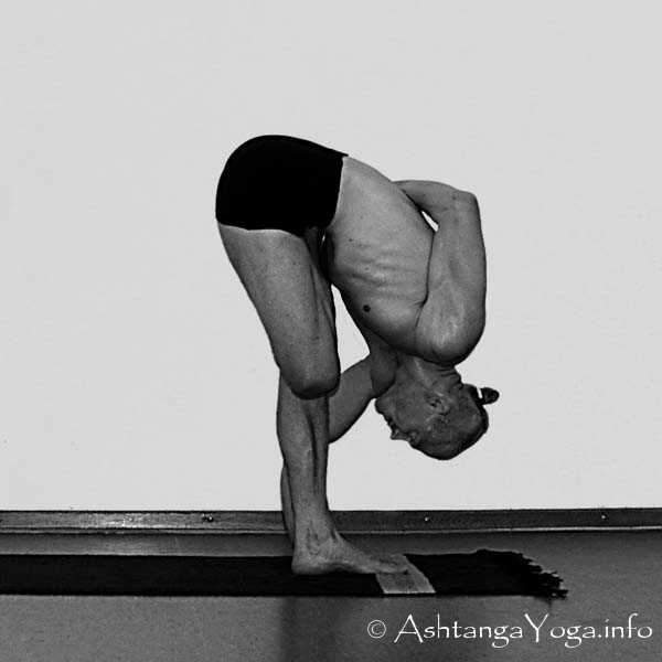 Vatayanasana Vinyasa in - Die Intermediate Series (Nadi Shodana / zweite Serie) bringt die Ashtanga Vinyasa Yoga Praxis von einer physischen auf eine energetische Ebene.