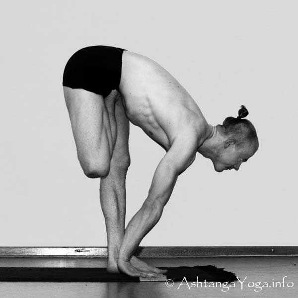 Vatayanasana Vinyasa in - Die Intermediate Series (Nadi Shodana / zweite Serie) bringt die Ashtanga Vinyasa Yoga Praxis von einer physischen auf eine energetische Ebene.