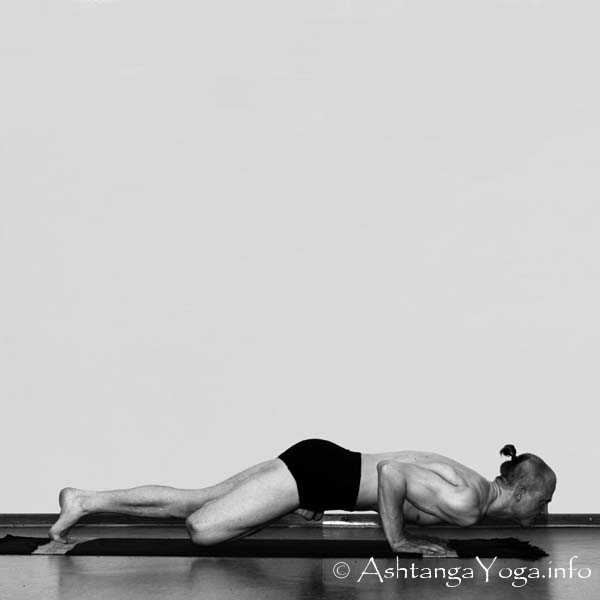 Vatayanasana Vinyasa in - Die Intermediate Series (Nadi Shodana / zweite Serie) bringt die Ashtanga Vinyasa Yoga Praxis von einer physischen auf eine energetische Ebene.