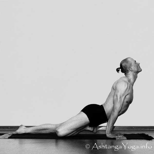 Vatayanasana Vinyasa in - Die Intermediate Series (Nadi Shodana / zweite Serie) bringt die Ashtanga Vinyasa Yoga Praxis von einer physischen auf eine energetische Ebene.