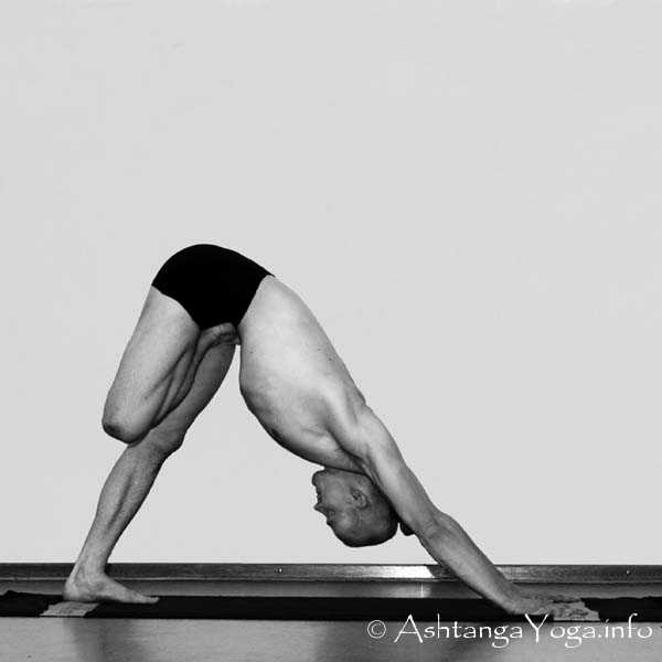 Vatayanasana Vinyasa in - Die Intermediate Series (Nadi Shodana / zweite Serie) bringt die Ashtanga Vinyasa Yoga Praxis von einer physischen auf eine energetische Ebene.
