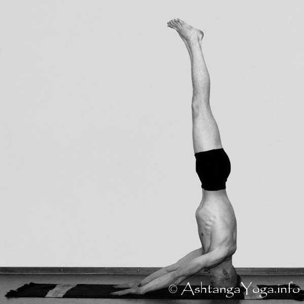Muka Hasta Sirsasana B - Die Intermediate Series (Nadi Shodana / zweite Serie) bringt die Ashtanga Vinyasa Yoga Praxis von einer physischen auf eine energetische Ebene.