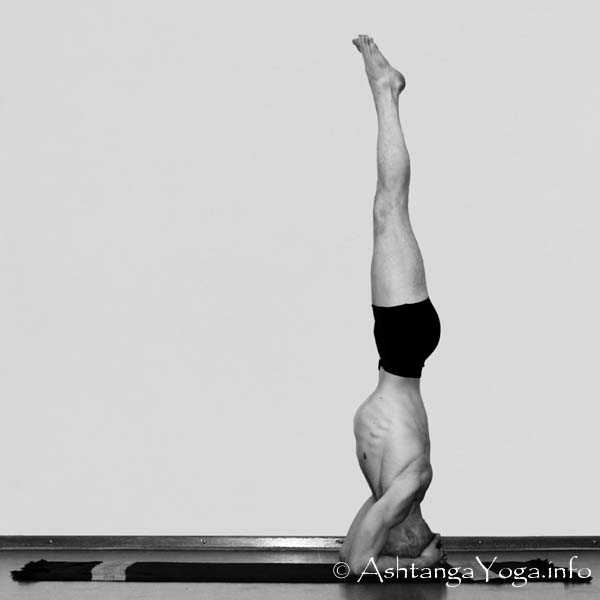 Baddha Hasta Sirsasana A - Die Intermediate Series (Nadi Shodana / zweite Serie) bringt die Ashtanga Vinyasa Yoga Praxis von einer physischen auf eine energetische Ebene.