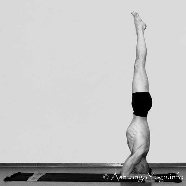 Baddha Hasta Sirsasana C - Die Intermediate Series (Nadi Shodana / zweite Serie) bringt die Ashtanga Vinyasa Yoga Praxis von einer physischen auf eine energetische Ebene.