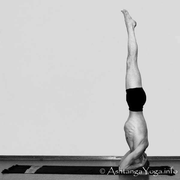 Baddha Hasta Sirsasana D - Die Intermediate Series (Nadi Shodana / zweite Serie) bringt die Ashtanga Vinyasa Yoga Praxis von einer physischen auf eine energetische Ebene.