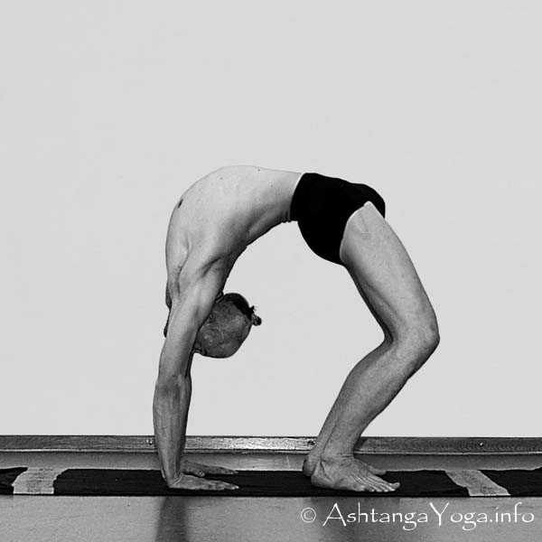 Urdhva Dhanurasana - Die Intermediate Series (Nadi Shodana / zweite Serie) bringt die Ashtanga Vinyasa Yoga Praxis von einer physischen auf eine energetische Ebene.