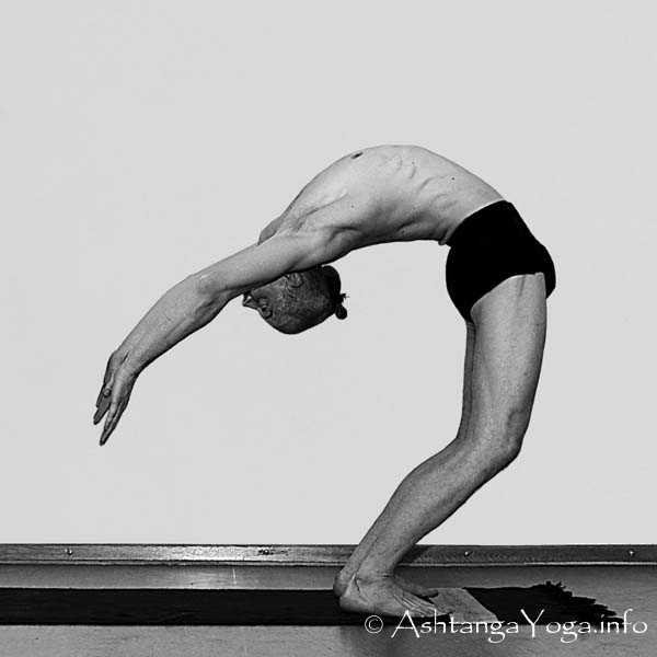 Urdhva Dhanurasana Vinyasa out - Die Intermediate Series (Nadi Shodana / zweite Serie) bringt die Ashtanga Vinyasa Yoga Praxis von einer physischen auf eine energetische Ebene.