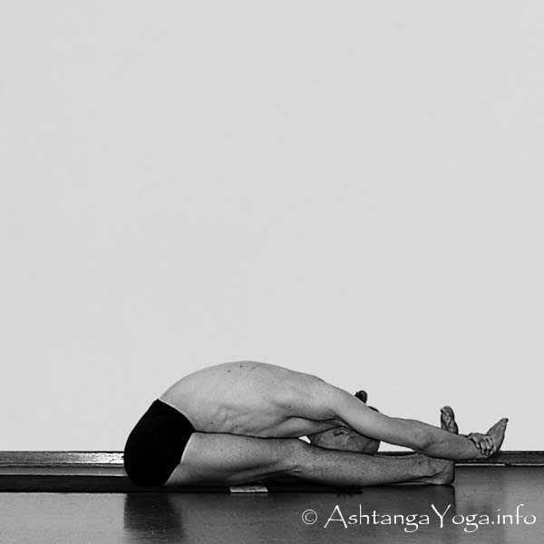 Paschimottanasana - Die Intermediate Series (Nadi Shodana / zweite Serie) bringt die Ashtanga Vinyasa Yoga Praxis von einer physischen auf eine energetische Ebene.
