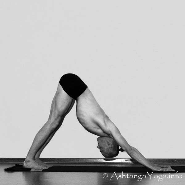 Vinyasa in - Primary Series (=Yoga Chikitsa / erste Serie) wird oft als die schwerste aller Ashtanga Vinyasa Yoga Serien bezeichnet, denn sie ist die Serie, die Du zuerst lernst - und aller Anfang ist schwer.