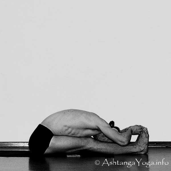 Paschimottanasana A - Primary Series (=Yoga Chikitsa / erste Serie) wird oft als die schwerste aller Ashtanga Vinyasa Yoga Serien bezeichnet, denn sie ist die Serie, die Du zuerst lernst - und aller Anfang ist schwer.