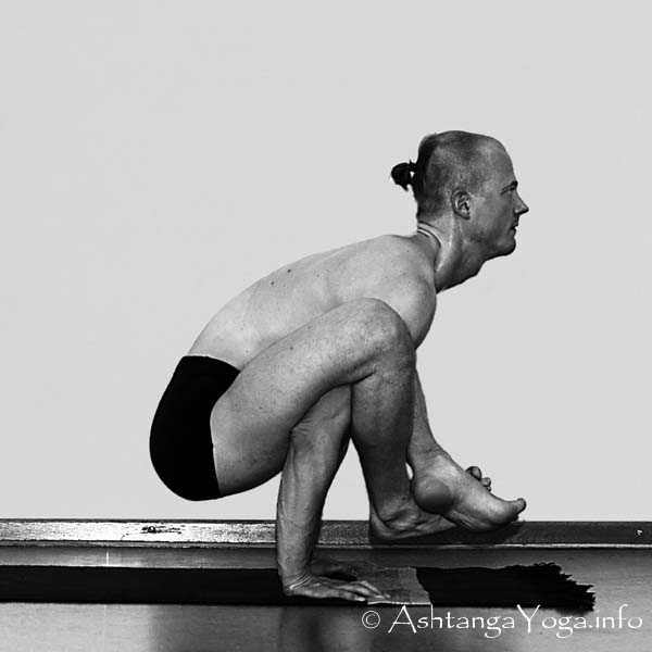 Bhuja Pindasana Vinyasa in - Primary Series (=Yoga Chikitsa / erste Serie) wird oft als die schwerste aller Ashtanga Vinyasa Yoga Serien bezeichnet, denn sie ist die Serie, die Du zuerst lernst - und aller Anfang ist schwer.